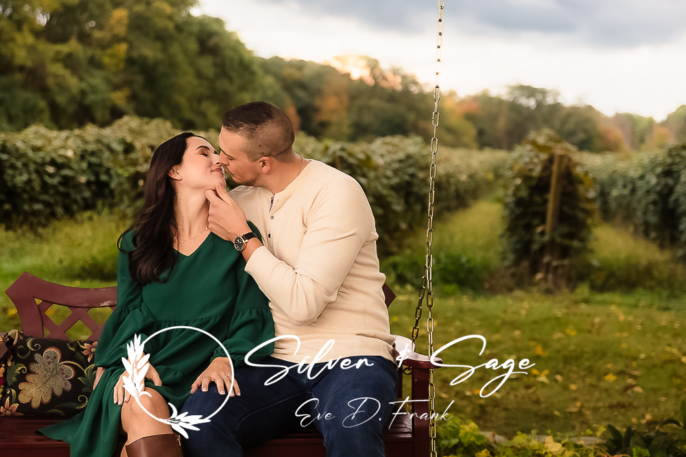 Proposing in 2024 - Engagement Photographers - Silver & Sage Studios - Engagement Photography - Plan the perfect proposal, engagement ring, proposal location, proposal experience, capture the proposal moment, proposal logistics, involving loved ones, personalized proposal speech, engagement announcement - Erie PA