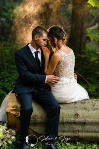 Silver &Amp; Sage Wedding Gallery - Online Gallery - Photographer Wedding Gallery - Wedding Photographer Erie Pa